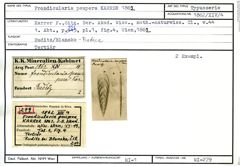 Karteikarte zum Syntyp von Frondicularia paupera Karrer, 1862